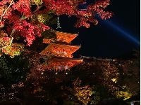 神社